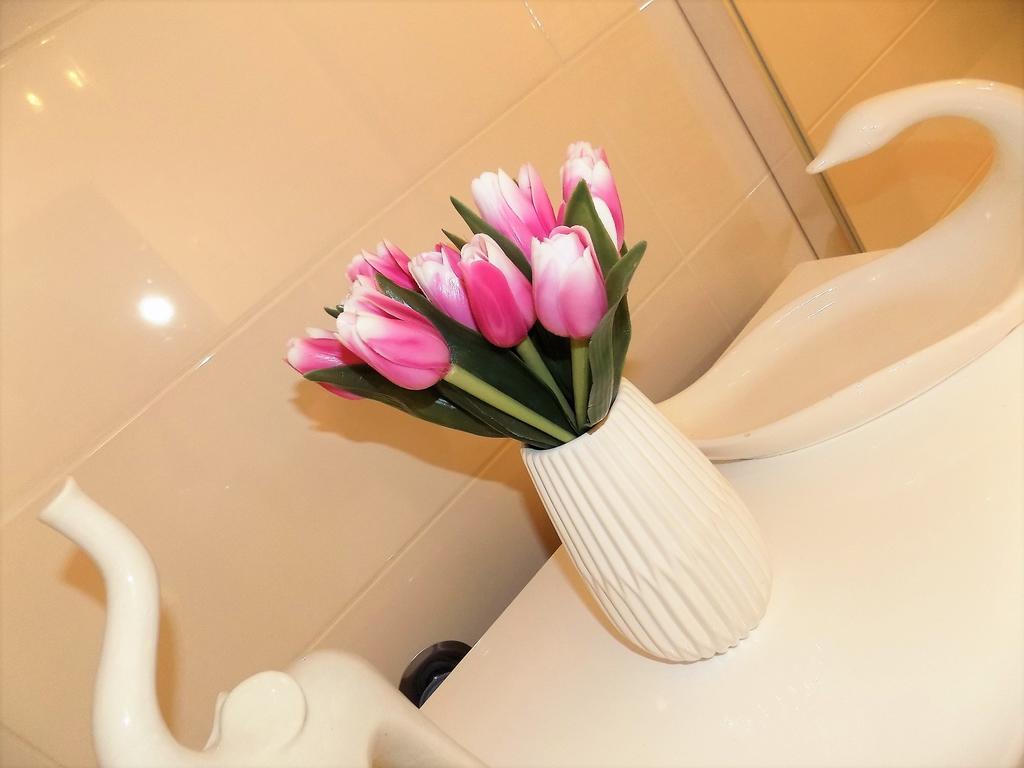 Apartment Anamarija نجيفيش المظهر الخارجي الصورة